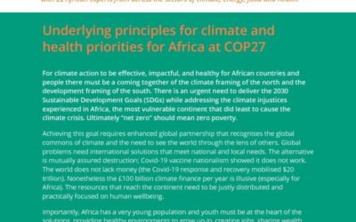 Shaping COP27 around African climate and health priorities