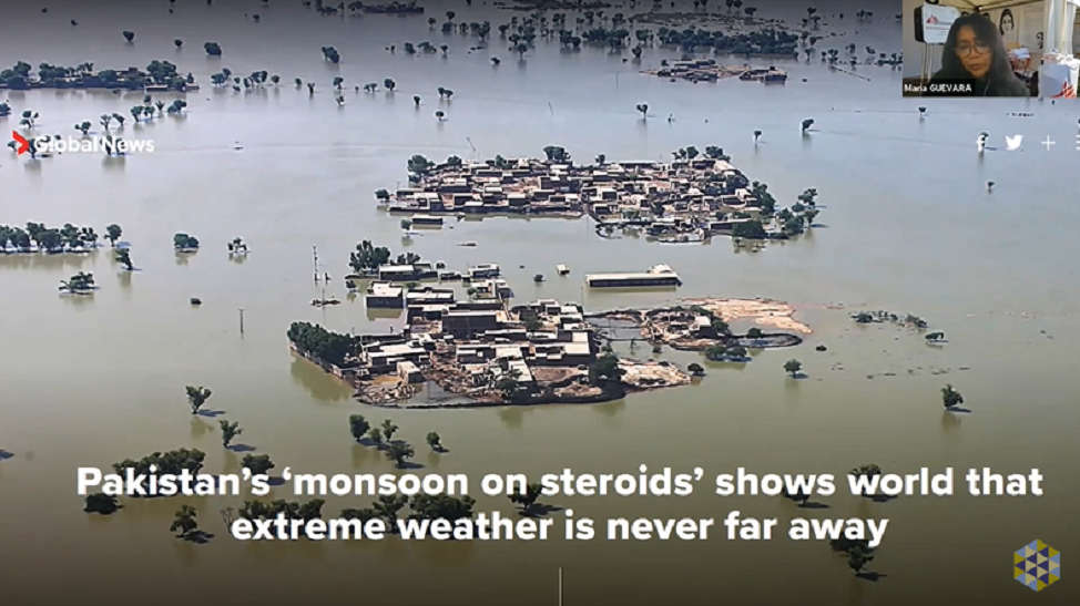 Health implications of loss and damage: experts explain why health must be integral to the climate change loss and damage responses