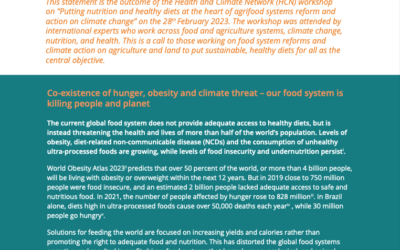 Diverse, healthy diets for all: How a focus on healthy diets can transform food systems and climate action