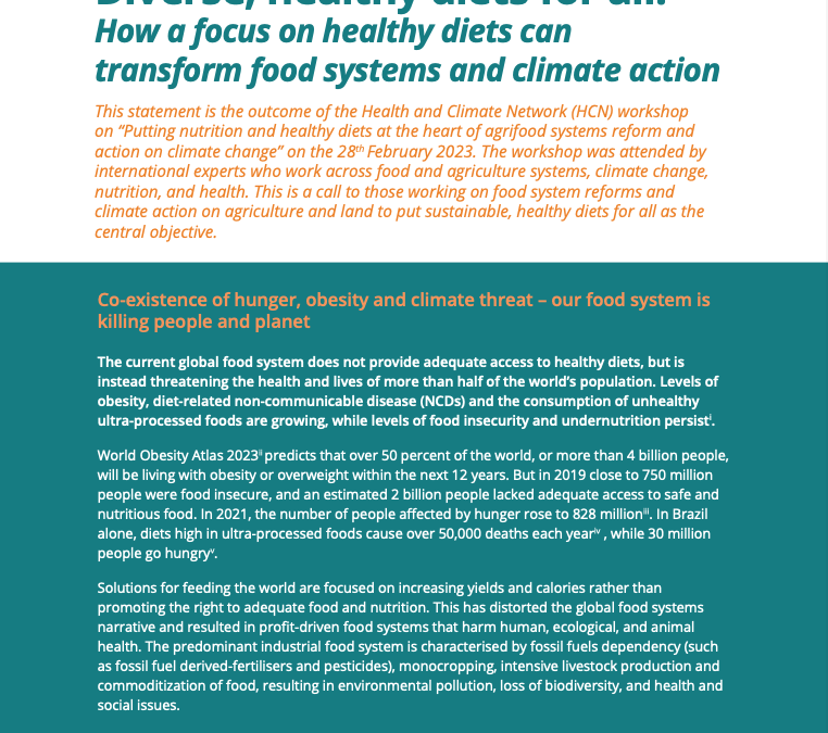 Diverse, healthy diets for all: How a focus on healthy diets can transform food systems and climate action